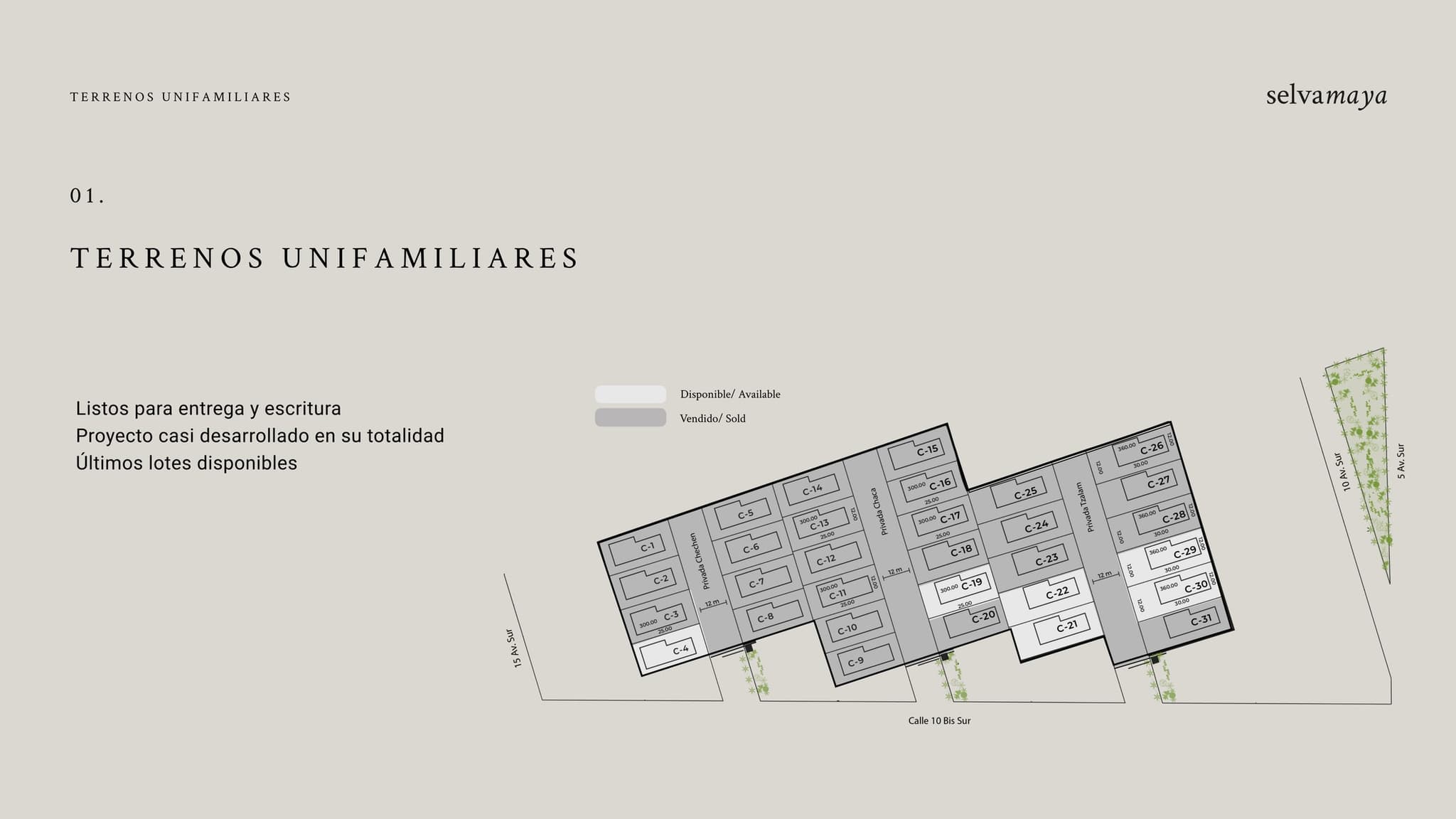 Masterplan · single-family lots