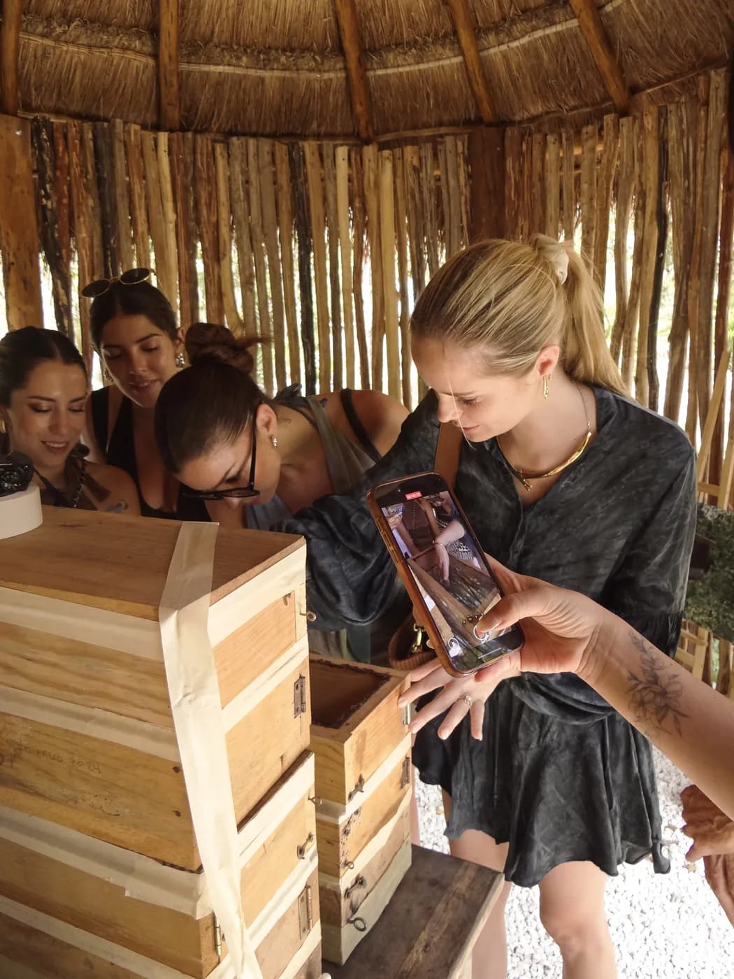 Taller de meliponicultura