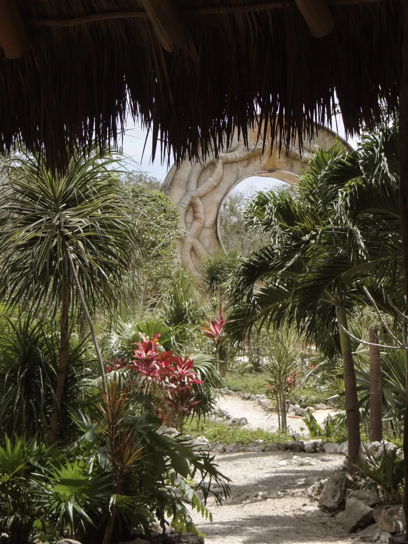 The Ring seen from the palapa
