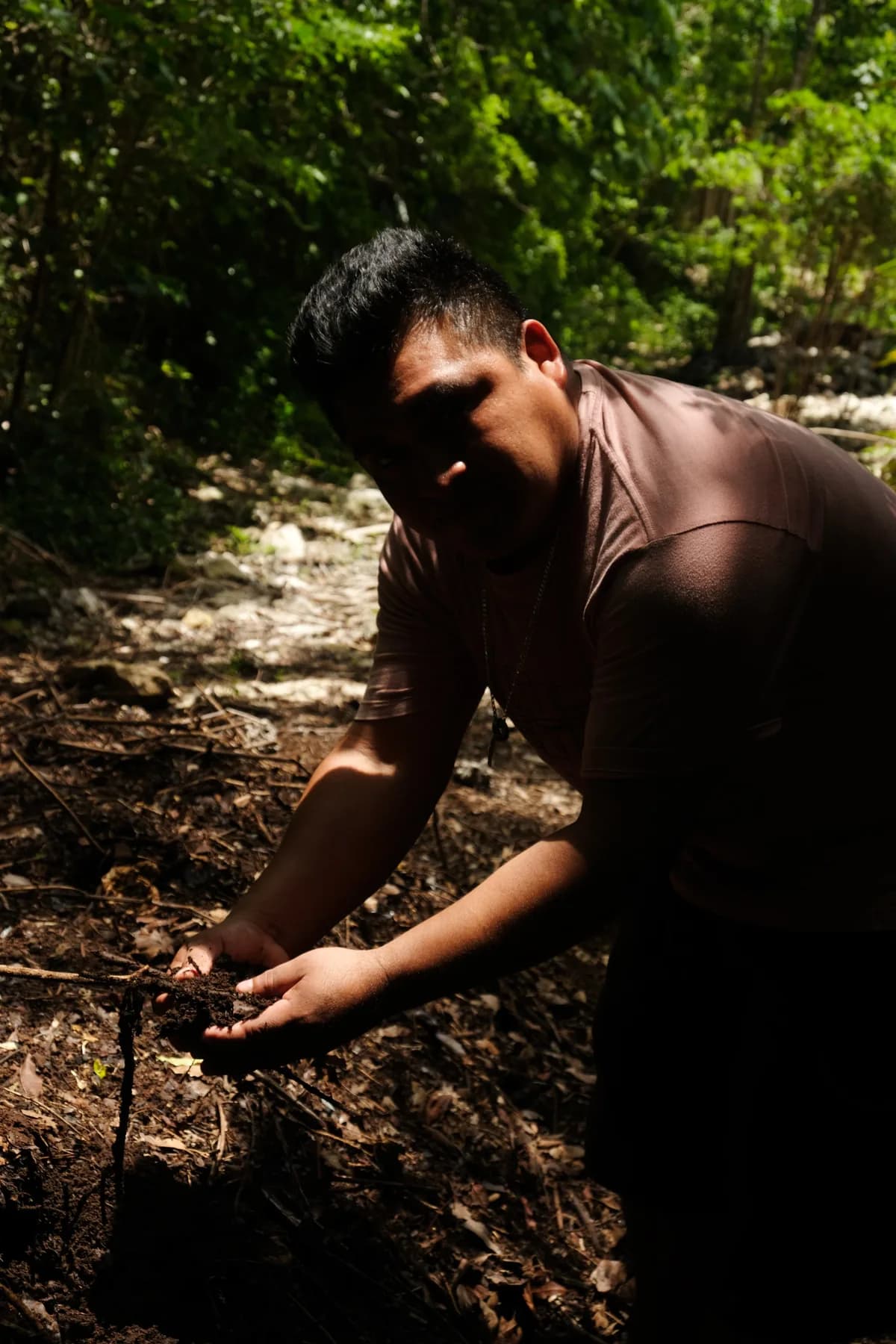 Living compost in hand