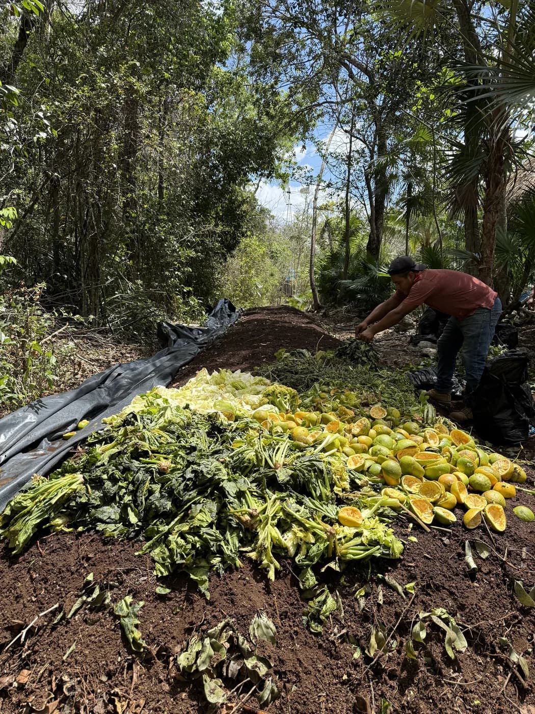 Living soil