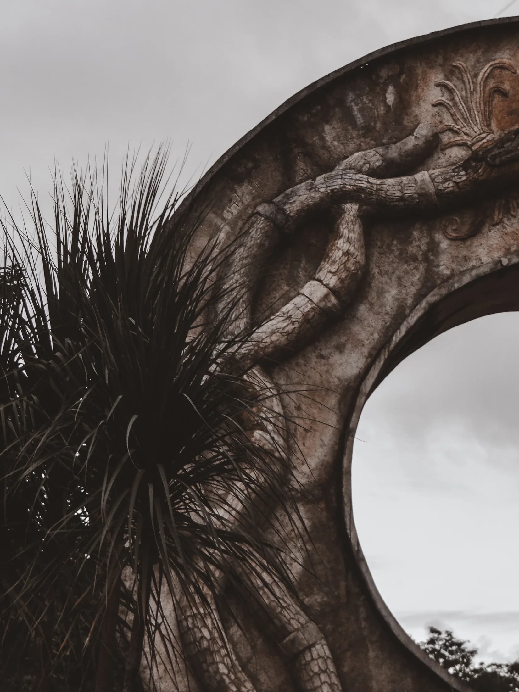 Selvarum's ring amid the greenery