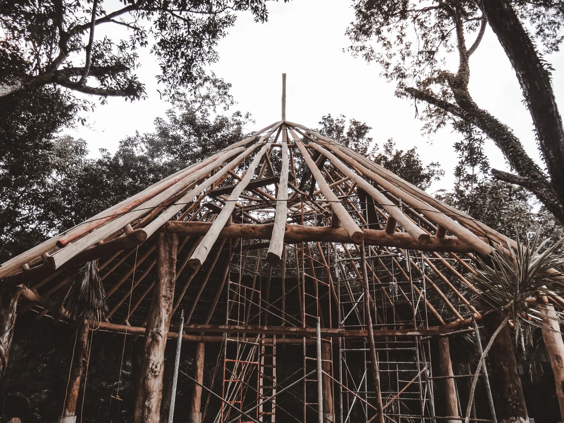 The clubhouse's complete frame