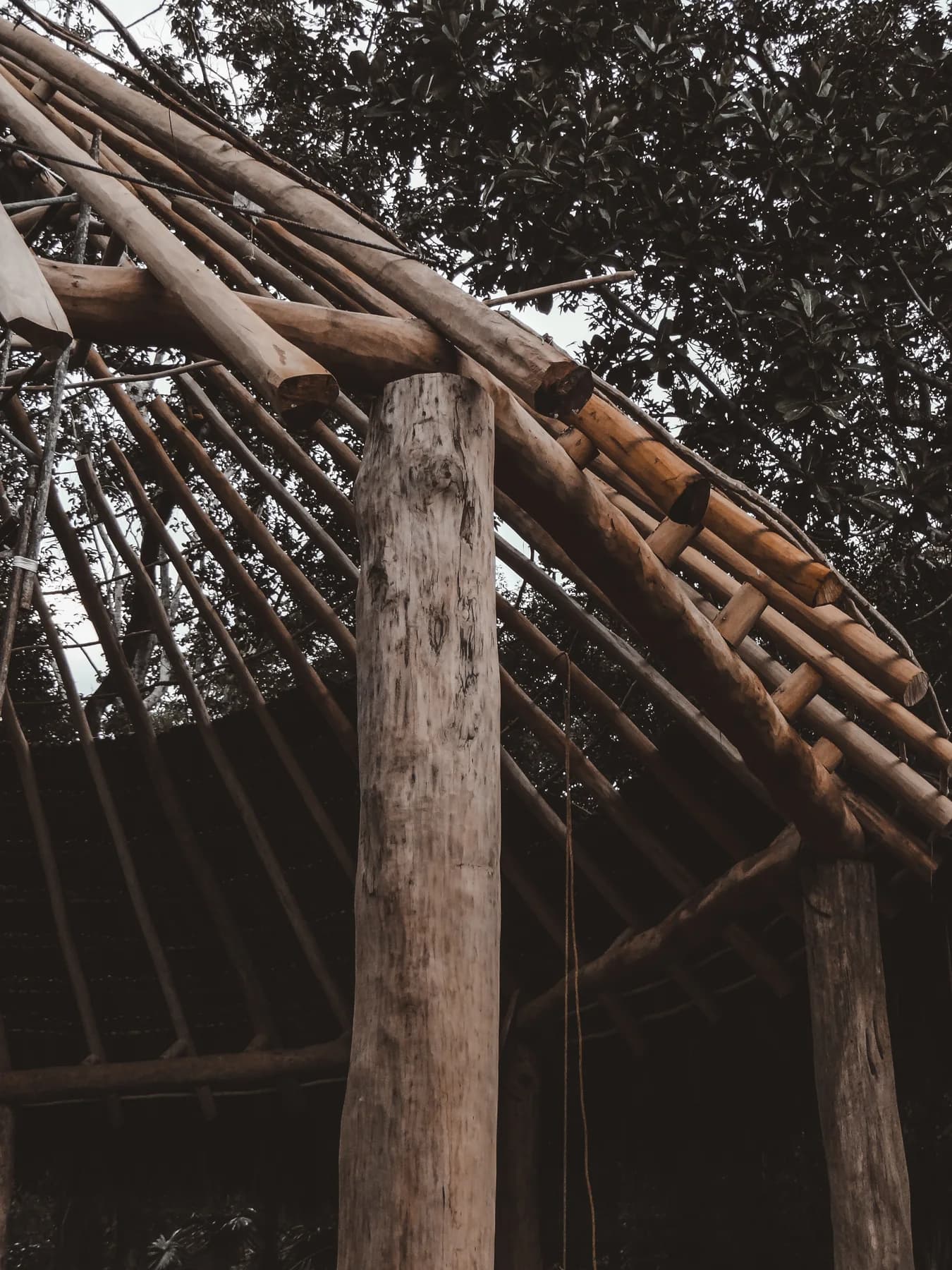 La cúpula de la palapa, en proceso