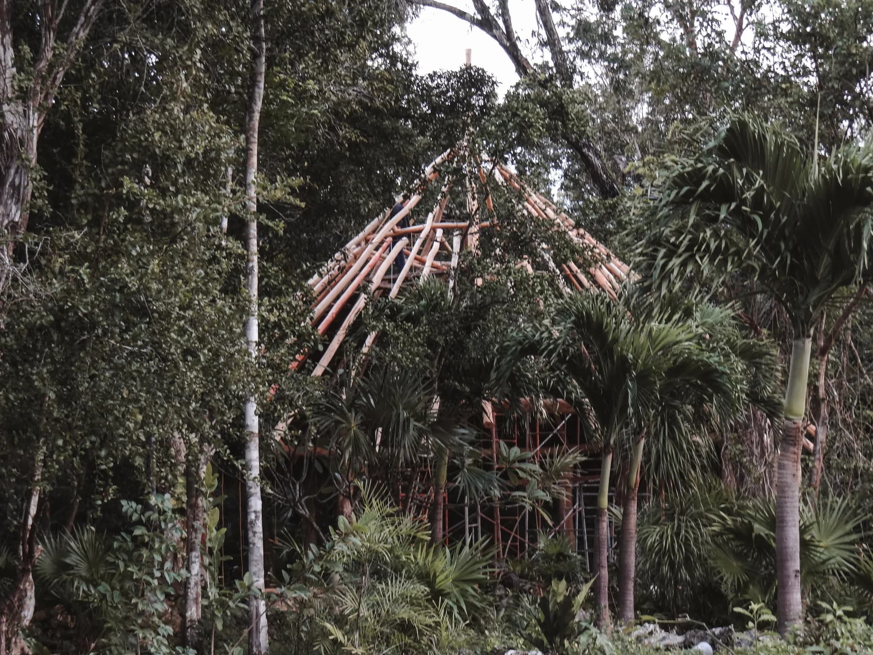 The build, seen through the trees