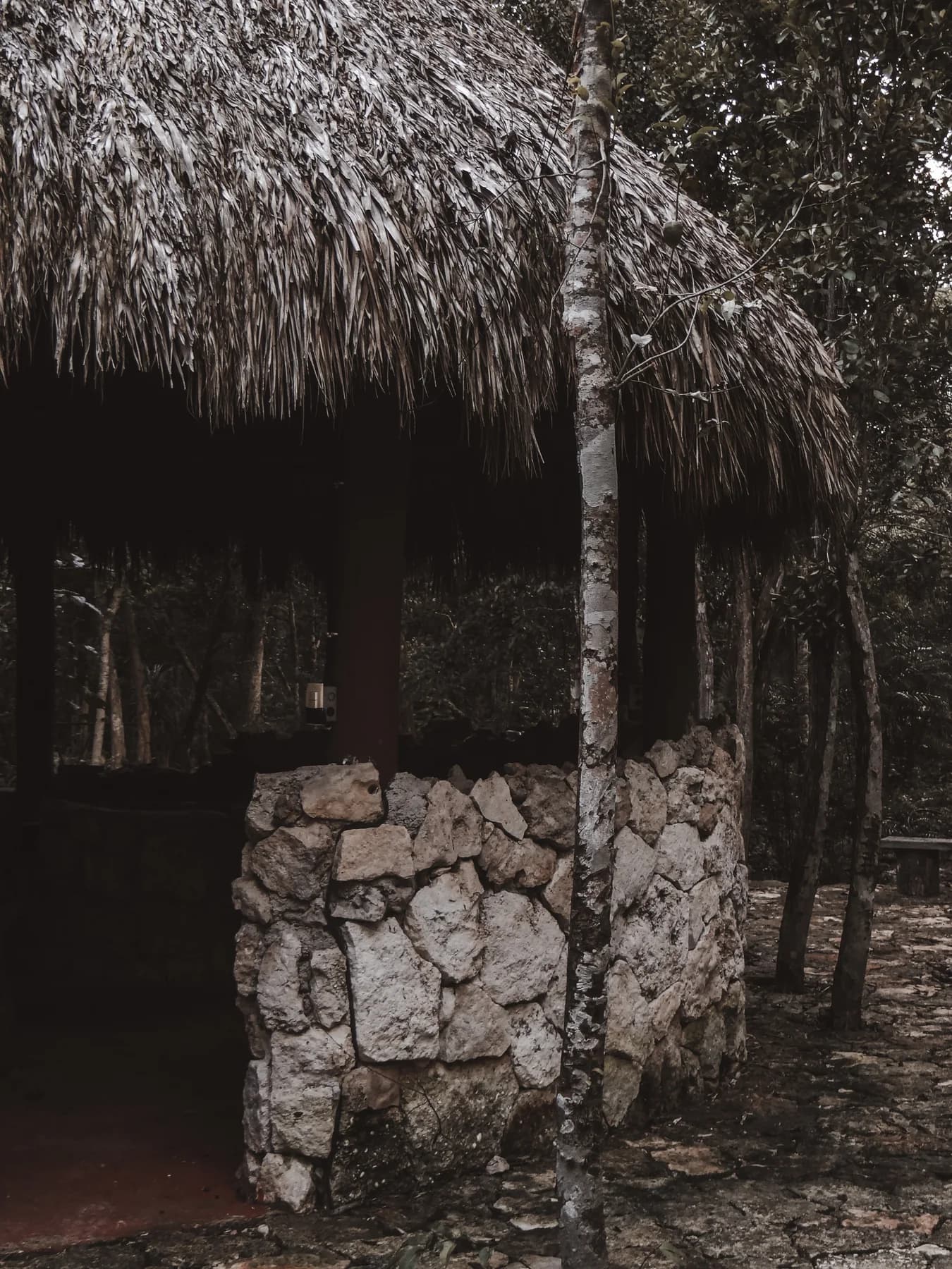 Techo de palapa ya terminado
